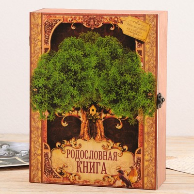 Родословная книга в шкатулке «Древо жизни», 56 листов, 20×26 см