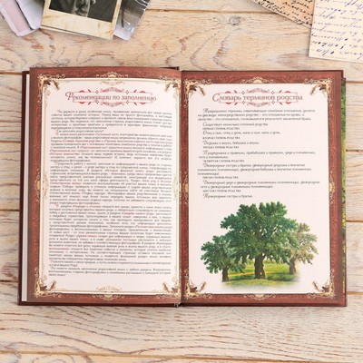 Родословная книга в шкатулке «Древо жизни», 56 листов, 20×26 см