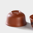 Набор для чайной церемонии керамический «Дракон», 5 предметов: 4 пиалы 25 мл, чайник 200 мл, цвет коричневый - фото 4178921