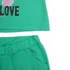 Комплект женский "Лавели" (джемпер, брюки), размер 44, цвет зелёный (арт. 2026) - Фото 6