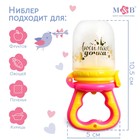 Ниблер для прикорма, от 5 мес., с силиконовой сеточкой, размер М «Любимая дочка», розовый - Фото 3