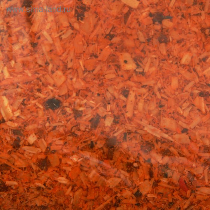 Щепа декоративная 5 кг (оранжевая) УЦЕНКА - Фото 1
