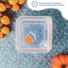 Контейнер из жаропрочного стекла Доляна «Дай пять», 500 мл, 13×6 см, с крышкой - Фото 4