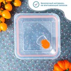 Контейнер из жаропрочного стекла Доляна «Дай пять», 1,2 л, 16,3×7,3 см, с крышкой - Фото 3