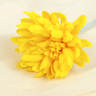 Цветы искусственные "Астра нежная" жёлтая 9*45 см - Фото 2