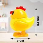 Игрушка заводная «Птички», прыгает, МИКС - Фото 2