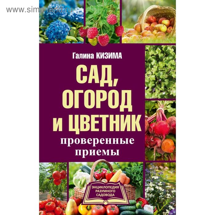 Галина Кизима Книги Купить