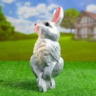 Садовая фигура "Кролик" 10х25х37см - Фото 2