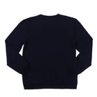 Толстовка мужская KAFTAN "Я Русский", размер 3XL(54), черный, хлопок 100% - Фото 7