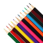 Карандаши цветные, в металлическом пенале, 12 цветов, заточенные - Фото 5