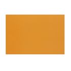 Картон цветной А4, 240 г/м2 "Нева" оранжевый, мелованный - Фото 1
