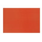 Картон цветной А4, 240 г/м2 "Нева" красный, мелованный (комплект 100 шт) - фото 20703885
