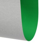 Картон цветной А4, 240 г/м2 "Нева" зелёный, мелованный - Фото 2