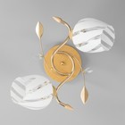 Люстра  "Лепестки" 2x40Вт E27 золото 44х33х28 см - фото 23602354