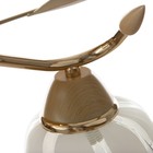 Люстра  "Лепестки" 2x40Вт E27 золото 44х33х28 см - фото 23602357