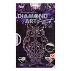 Набор для создания мозаики DIAMOND ART "Королевская сова" - Фото 1