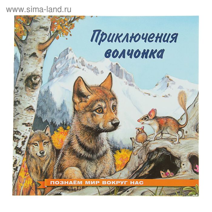 «Приключения волчонка», Гурина И. В. - Фото 1