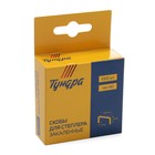 Скобы для мебельного степлера ТУНДРА, закалённые, тип 140, 10 мм, 1000 шт. - Фото 5