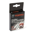 Скобы для мебельного степлера ТУНДРА, закалённые, полукруглые, тип 28, 12 мм, 1000 шт. - Фото 5