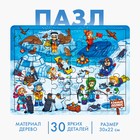 Пазл большой деревянный «Южный полюс», 30 элементов - Фото 1