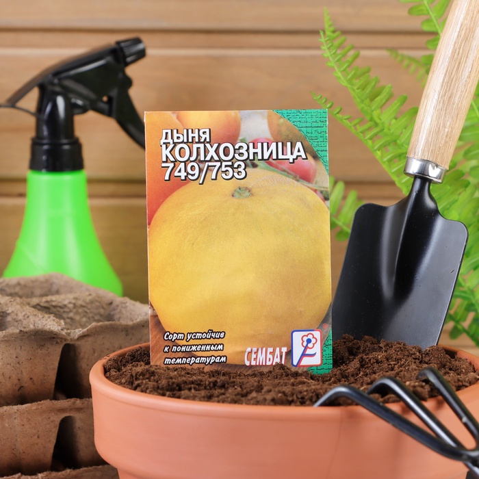 Семена Дыня «Колхозница 749/753», 1 г, «Аэлита» - Фото 1