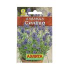 Семена Лаванда "Синева" "Лидер", 0,1 г , - Фото 1