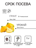 Семена Патиссон «Звездная россыпь», серия «Лидер», смесь, 1 г, «Агрофирма АЭЛИТА» - Фото 2