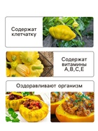 Семена Патиссон «Звездная россыпь», серия «Лидер», смесь, 1 г, «Агрофирма АЭЛИТА» - Фото 3