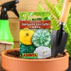 Семена Патиссон Звездная россыпь" "Лидер", смесь, 1 г , - Фото 1