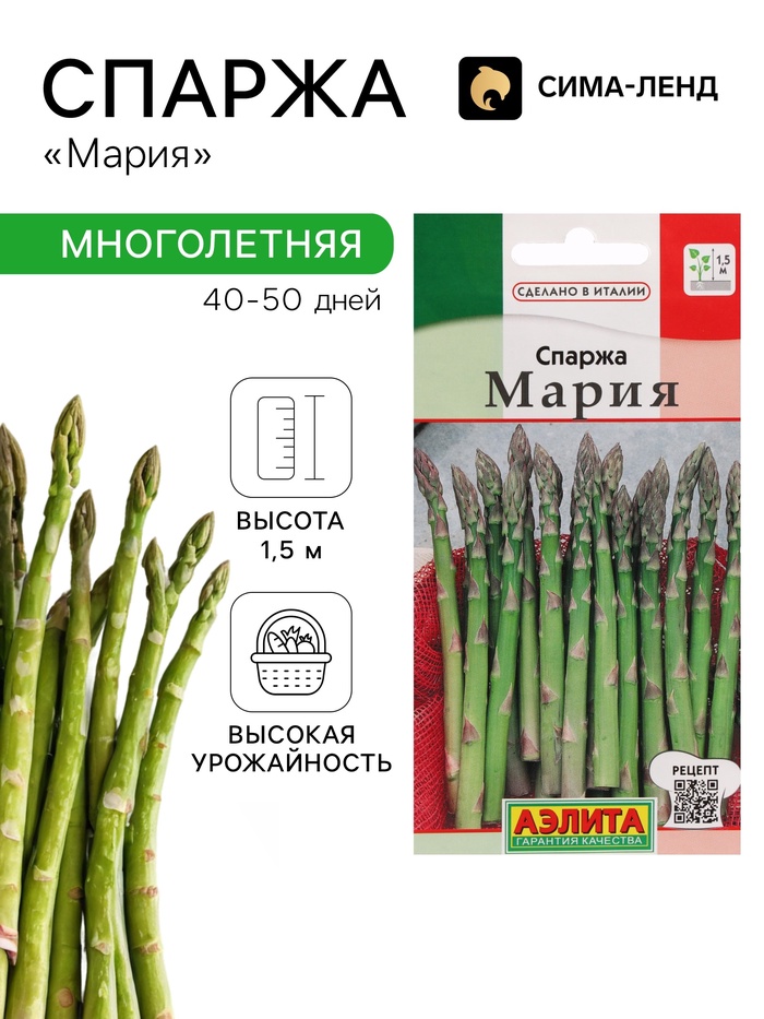 Семена Спаржа «Царская», 0.5 г, 20 шт. - Фото 1