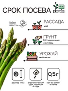 Семена Спаржа «Царская», 0.5 г, 20 шт. - Фото 2