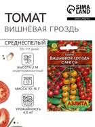 Семена Томат «Вишнёвая гроздь», смесь, индетерминантный, высокорослый, 0.1 г, 20 шт., «Аэлита» - Фото 1