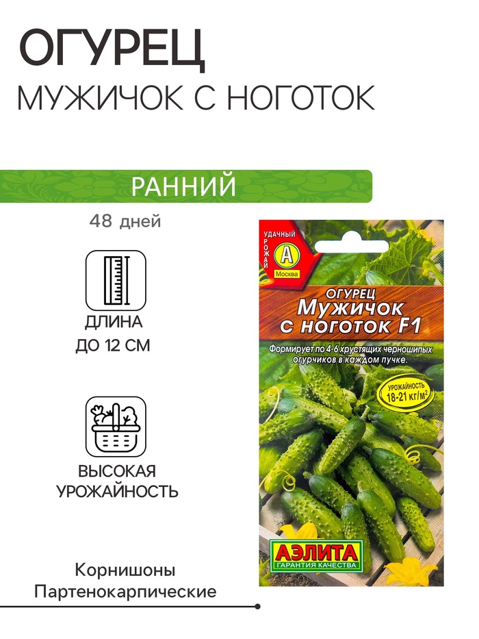 Семена Огурец «Мужичок с ноготок», F1, среднеранний, партенокарпический, 10 шт., «АЭЛИТА» - Фото 1