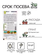 Семена Огурец «Мужичок с ноготок», F1, среднеранний, партенокарпический, 10 шт., «АЭЛИТА» - Фото 2
