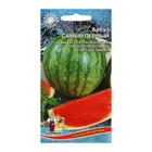 Семена Арбуз «Самый Первый», ультраскороспелый, 3-4 кг, 10 шт., «Уральский Дачник» - Фото 5