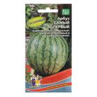 Семена Арбуз «Самый Первый», ультраскороспелый, 3-4 кг, 10 шт., «Уральский Дачник» - Фото 7