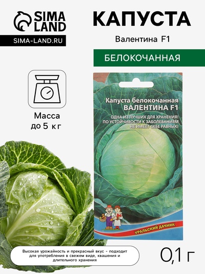 Семена Капуста белокочанная «Валентина», F1, 0.1 г, позднеспелая, «Уральский дачник»