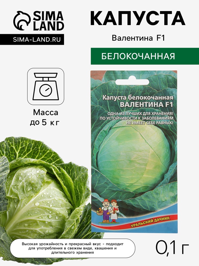 Семена Капуста белокочанная «Валентина», F1, 0.1 г, позднеспелая, «Уральский дачник» - Фото 1
