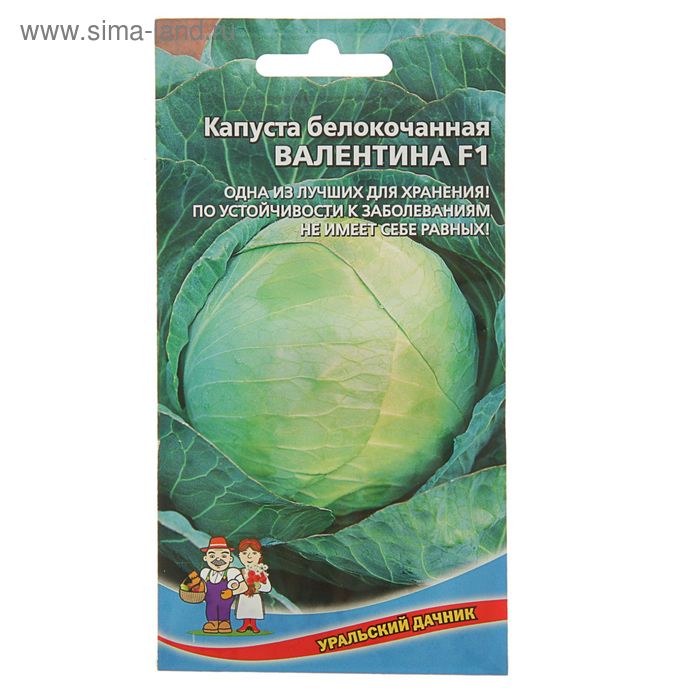 Семена Капуста белокочанная "Валентина F1" поздний,кочан 3,5-5 кг,очень плотный 0,1 г - Фото 1