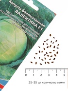 Семена Капуста белокочанная «Валентина», F1, 0.1 г, позднеспелая, «Уральский дачник» - Фото 4