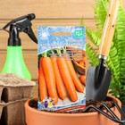 Семена Морковь "Алтайская Сахарная" позднеспелый, холодостойкий сорт для хранения 1,5 г - фото 317964109