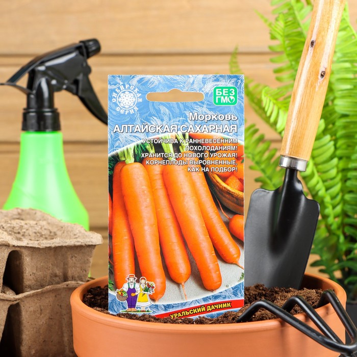 Семена Морковь "Алтайская Сахарная" позднеспелый, холодостойкий сорт для хранения 1,5 г - Фото 1