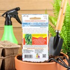 Семена Морковь "Алтайская Сахарная" позднеспелый, холодостойкий сорт для хранения 1,5 г - Фото 2