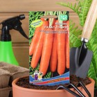 Семена Морковь "Рахат Лукум" суперсладкая.цилиндрическая,тупоконечная 1 г - Фото 5