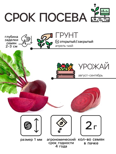 Семена Свекла «Фурор» округлая, 2 г, «Уральский дачник»