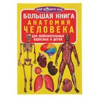 Большая книга для любознательных взрослых и детей «Анатомия человека» - Фото 1