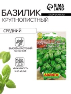 Семена Базилик овощной «Крупнолистный сладкий», 0.2 г, «Аэлита» - Фото 2