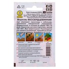 Семена Морковь «Бессердцевинная», 2 г, «Аэлита» - Фото 2