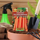 Семена Морковь «Бессердцевинная», 2 г, «Аэлита» - Фото 3