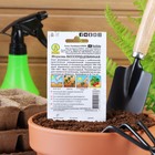 Семена Морковь «Бессердцевинная», 2 г, «Аэлита» - Фото 4